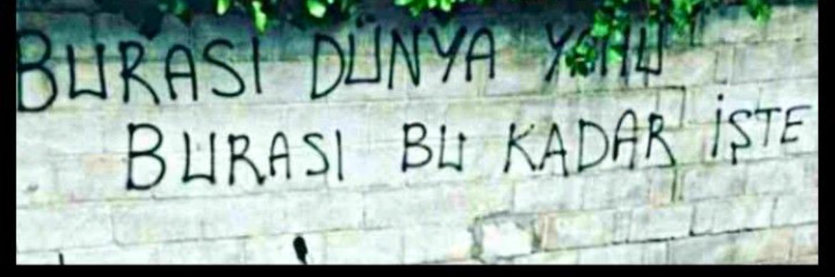 Enes Kurtuluş banner