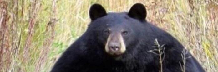 jefasun_'s profile banner image