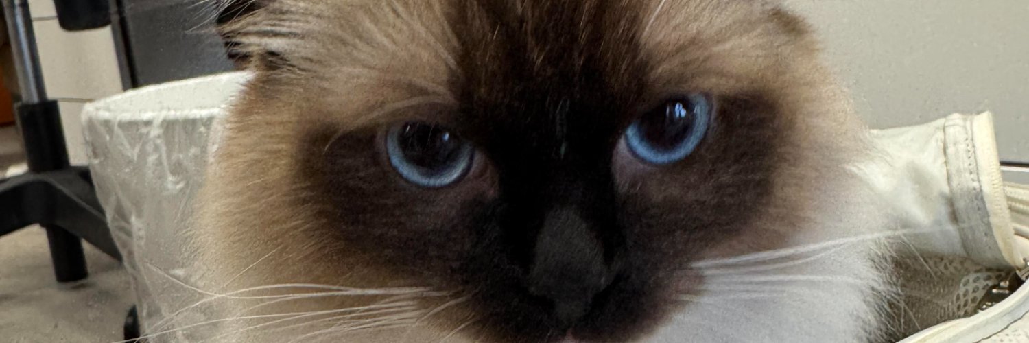 kwonhyeokil's profile banner image