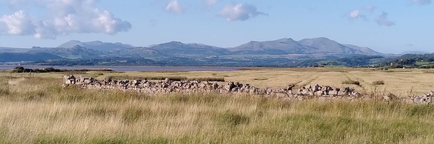 Arabella Onslow💜 banner