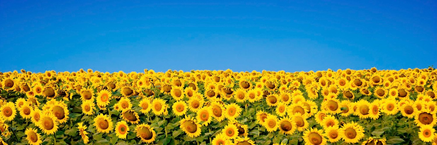 sassdawe's profile banner image