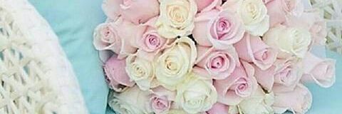 michellerss___'s profile banner image