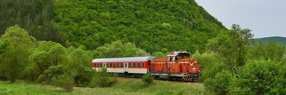 GeorgiIYI's profile banner image