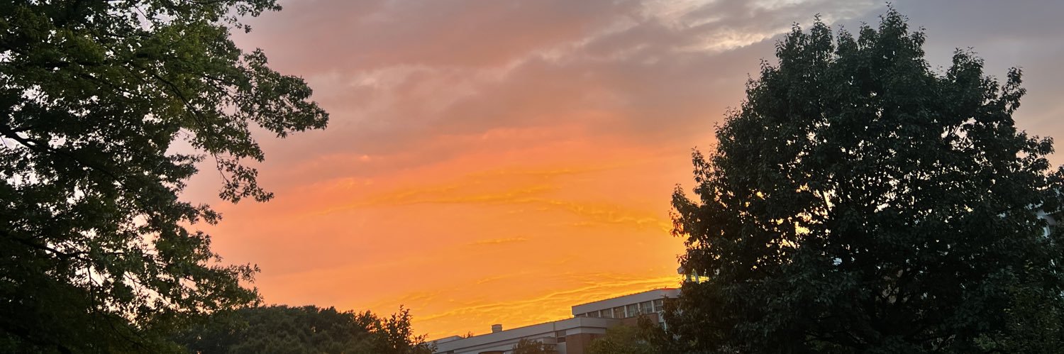 Frankidabf's profile banner image