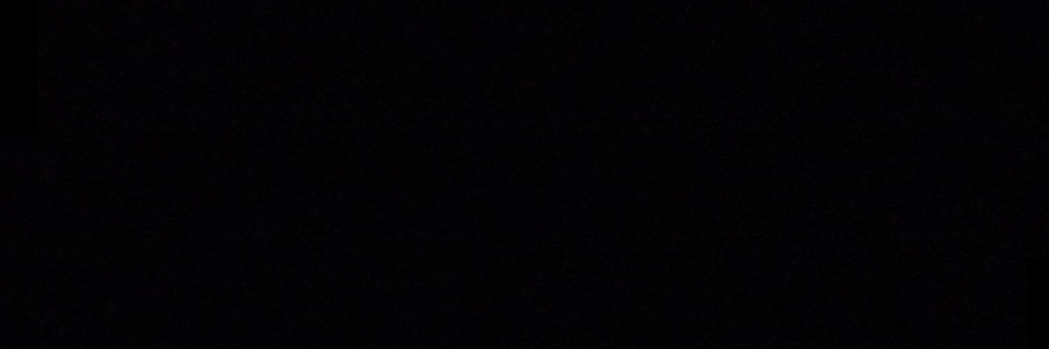 ナカタイチ banner