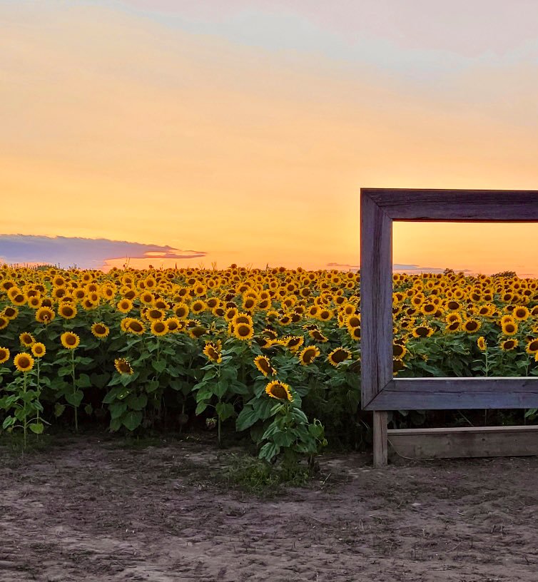 Dixie Orchards banner