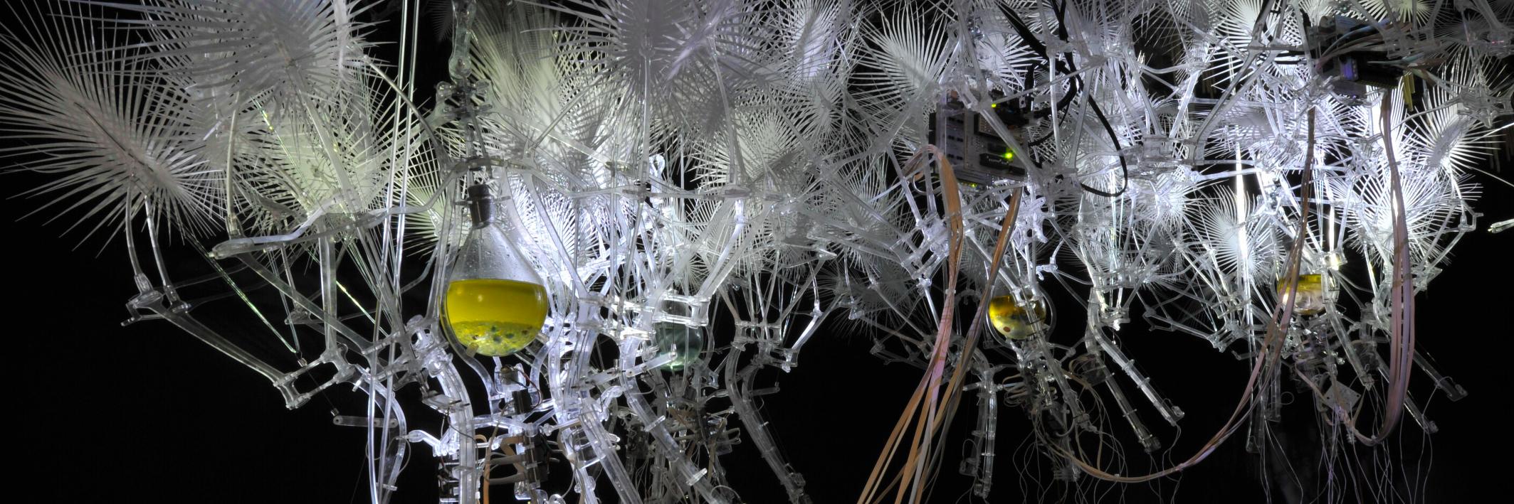 Rob Gorbet (he/him/his) banner