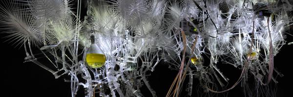 rbgorbet Profile Banner