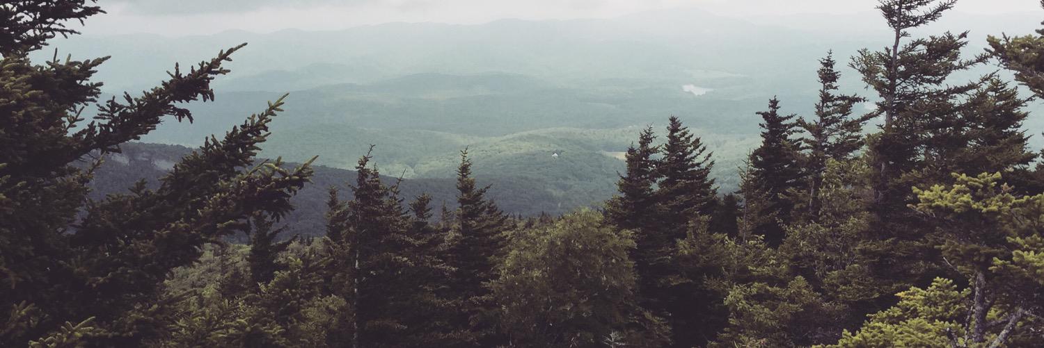 Kyle__Towns's profile banner image