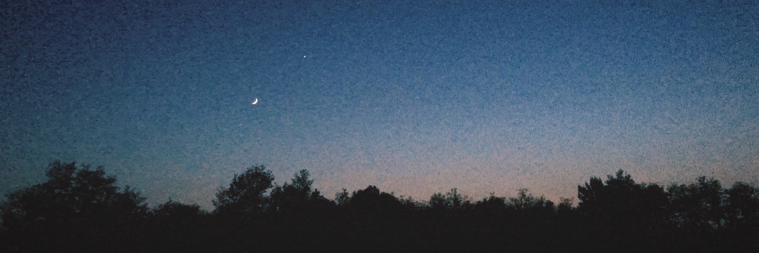 ChloeLifante's profile banner image
