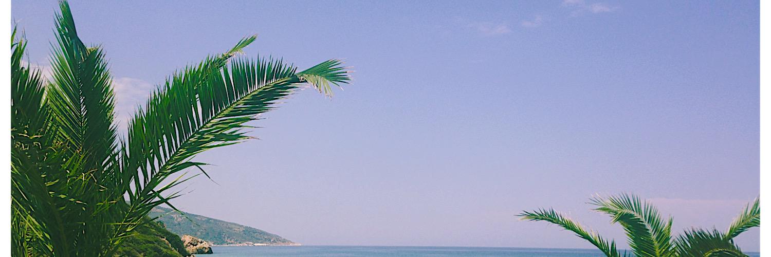 CelinaMilloux's profile banner image