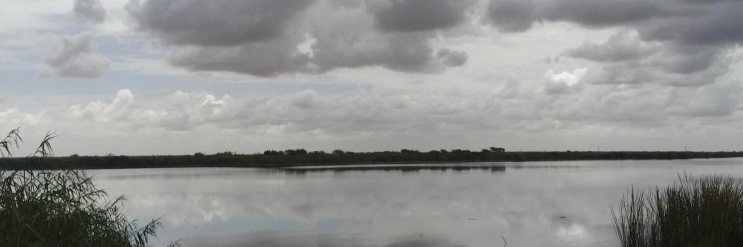 Tuğba Evrim Maden banner