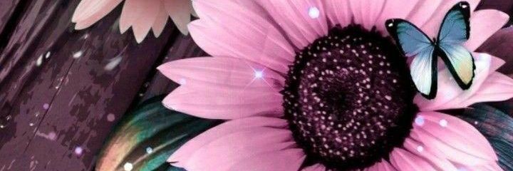 dsabaq's profile banner image