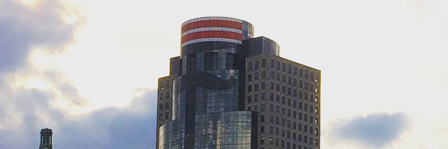 David Collins banner
