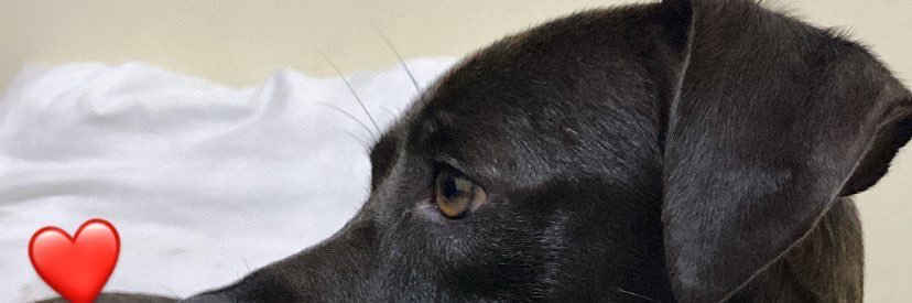 1905Laura's profile banner image