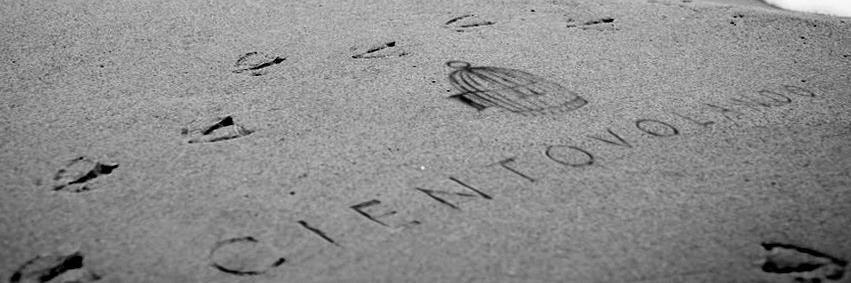 CIENTO VOLANDO banner