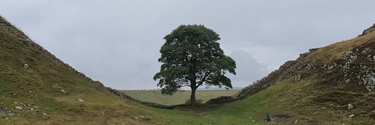 Ricki Redhead banner