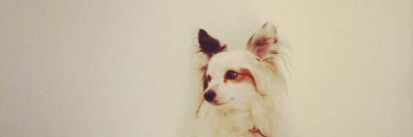 agaton Profile Banner