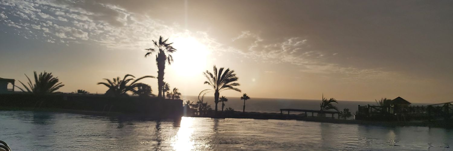 L_BridgesPR's profile banner image