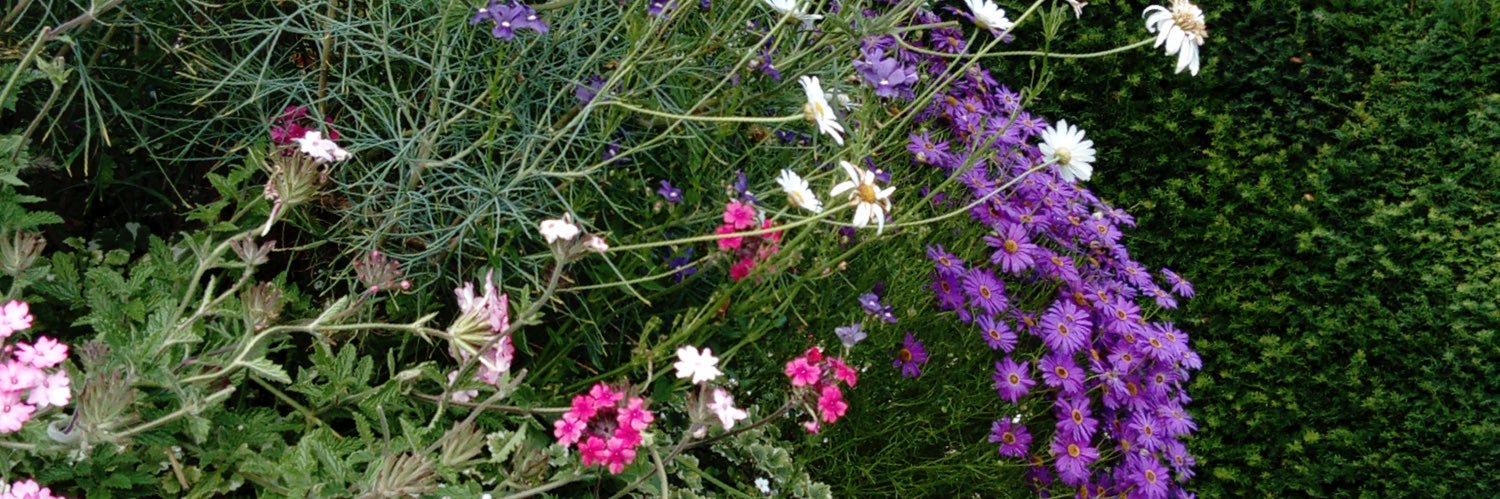 selma_ebrahim's profile banner image