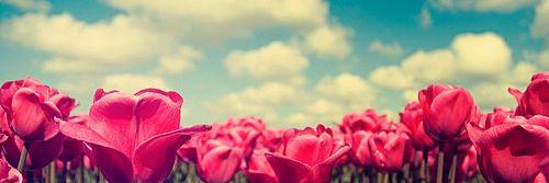 thisis_cari's profile banner image