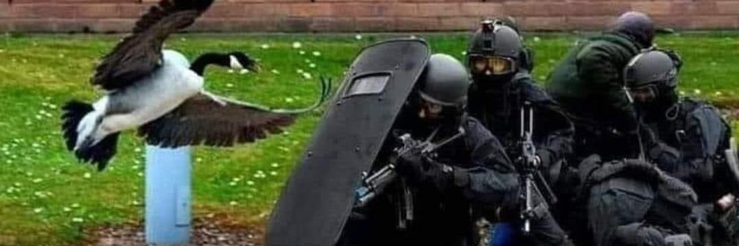 Chapula Batman banner