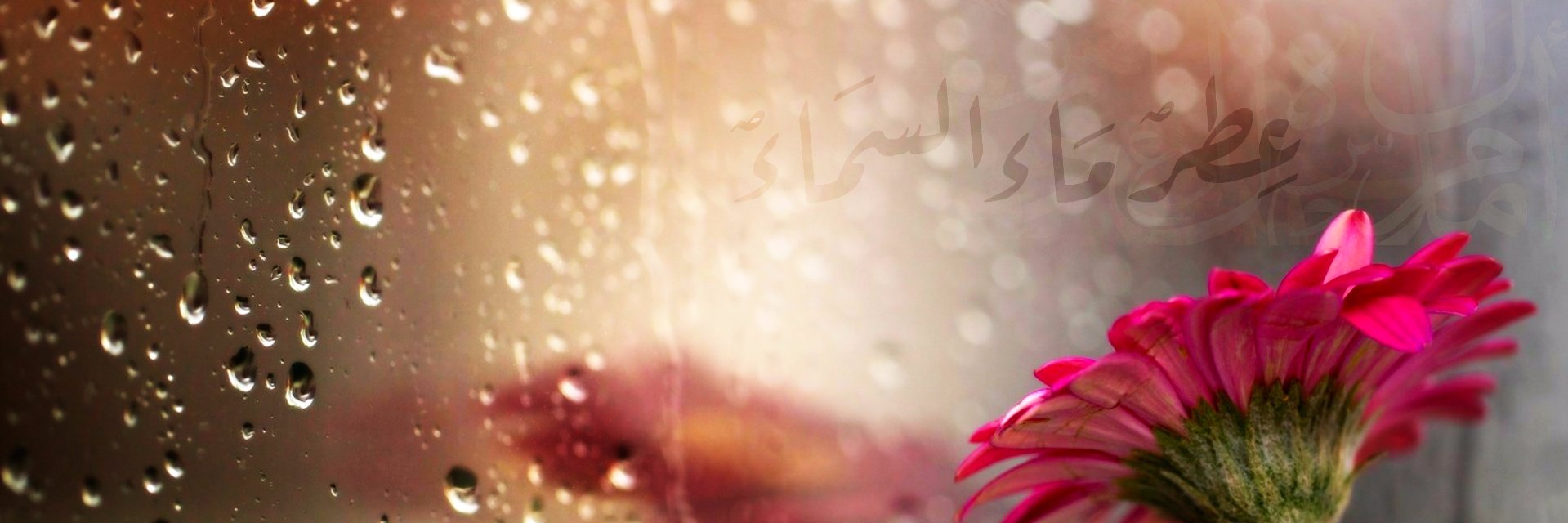 Rahwan_'s profile banner image