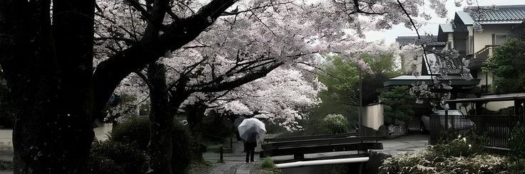 ৎ୭ banner