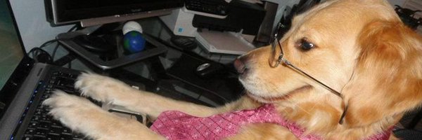 vladlobachevsk2 Profile Banner