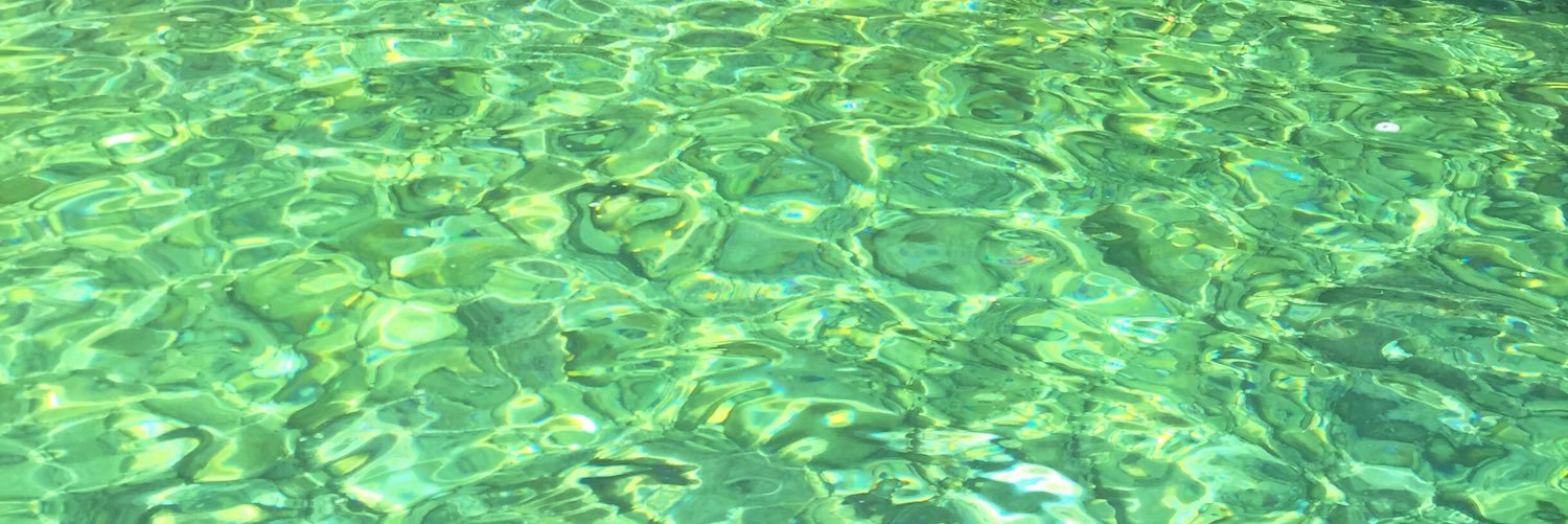 Lauracanudas's profile banner image