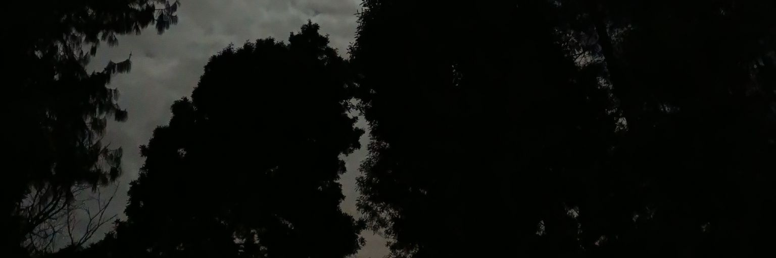 Cortés D. (Chosen Juan) banner