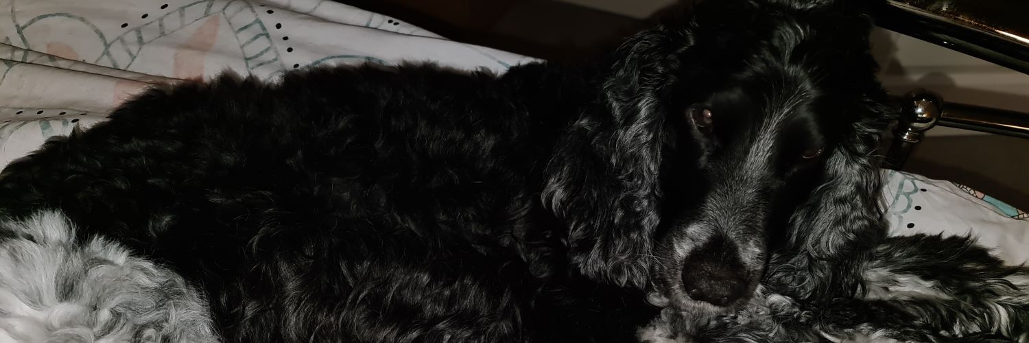 Sambo_x10's profile banner image