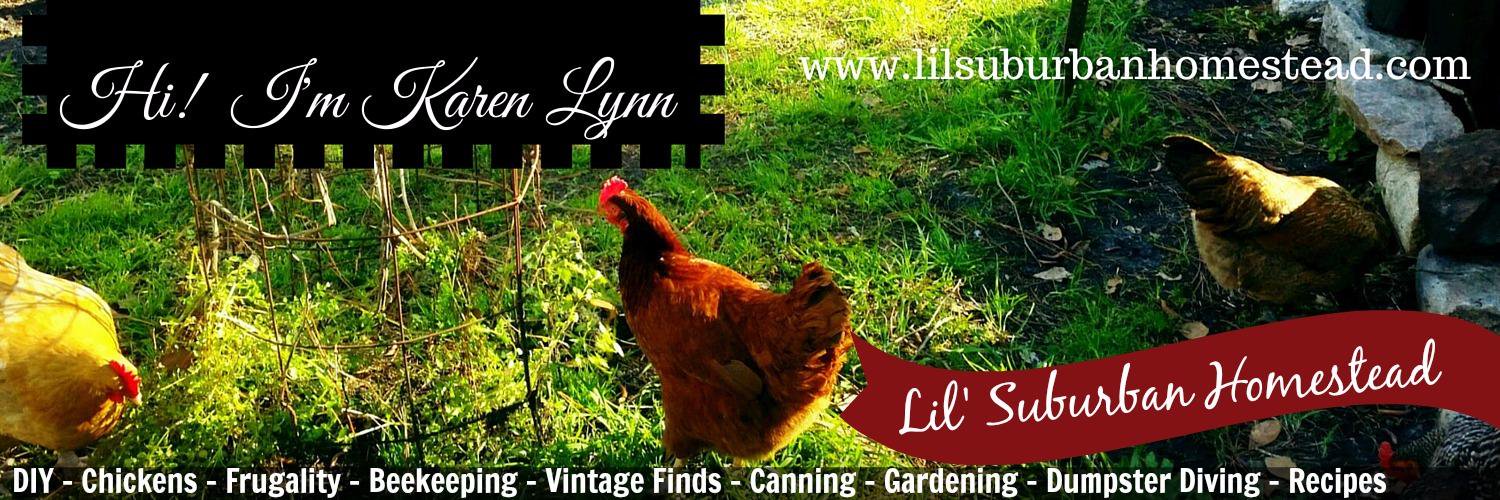 LilSubHomestead's profile banner image
