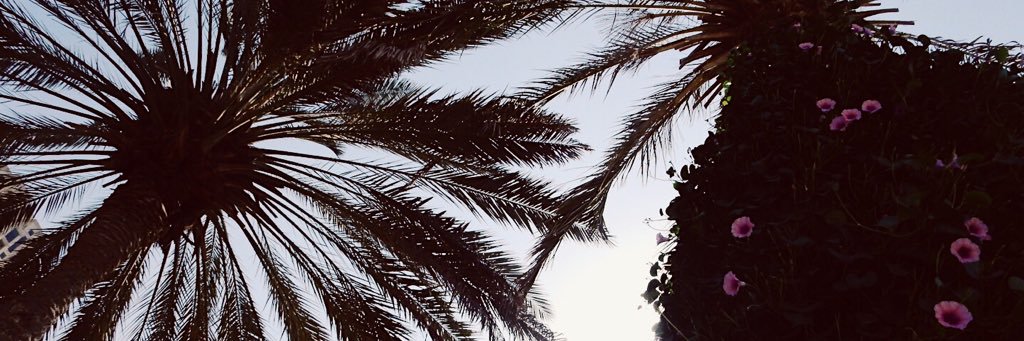 malintackdal's profile banner image