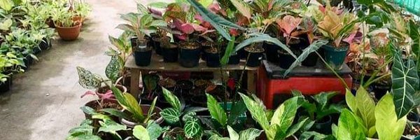 joshcalebgarden Profile Banner