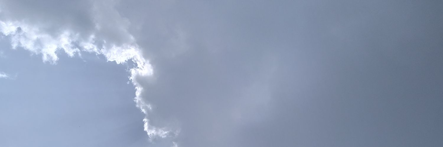 benutewari's profile banner image