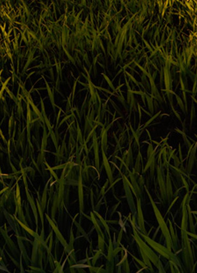 oullorter's profile banner image
