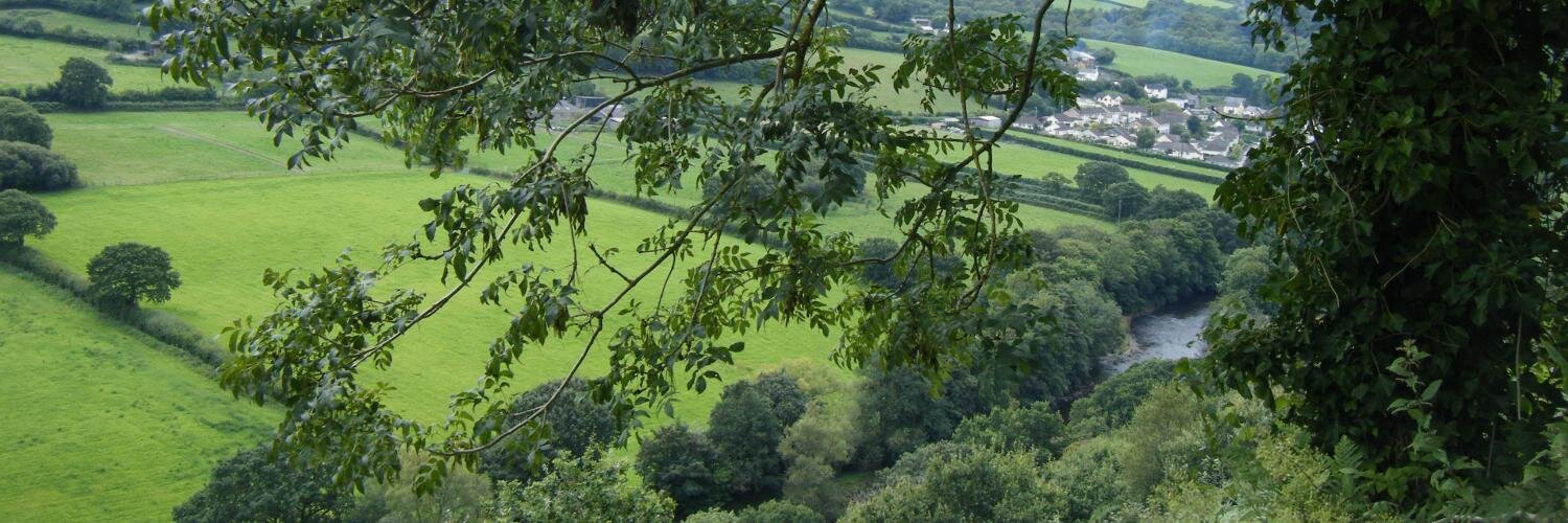 Jane Welby banner