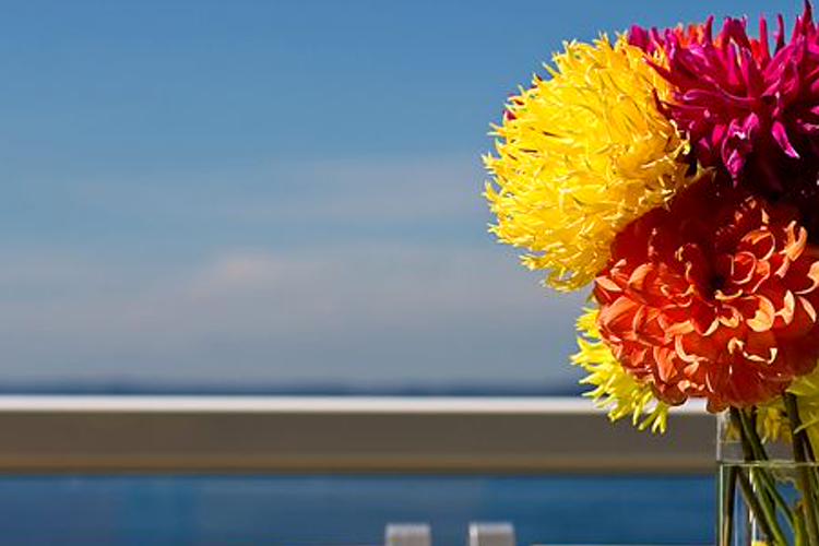 ilerextic's profile banner image