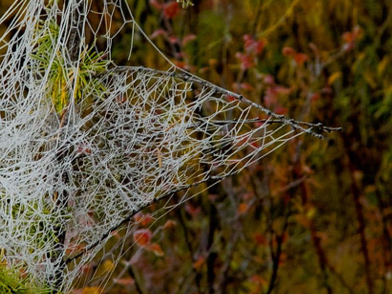 ountissousst's profile banner image