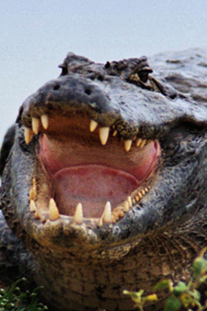 herrks's profile banner image