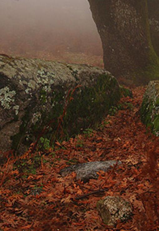 ttinpsmar's profile banner image