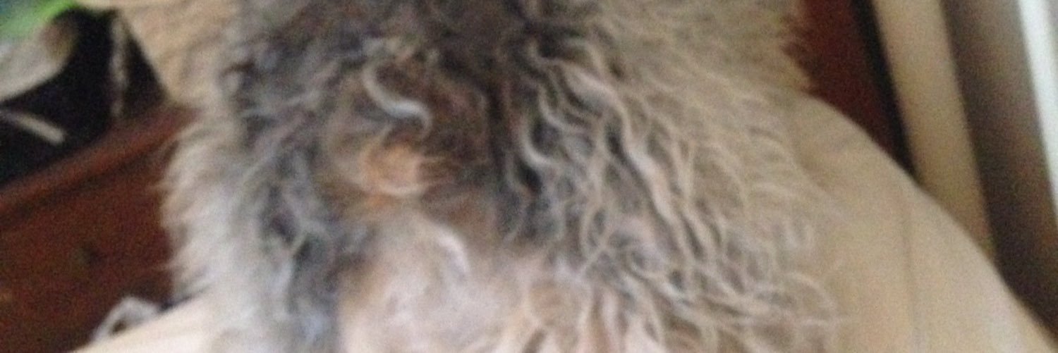hungrycinderell's profile banner image