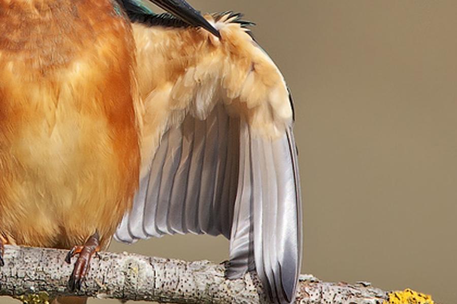 nalavepr's profile banner image