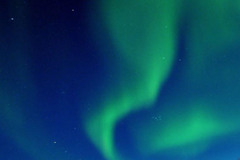 miceacoi's profile banner image