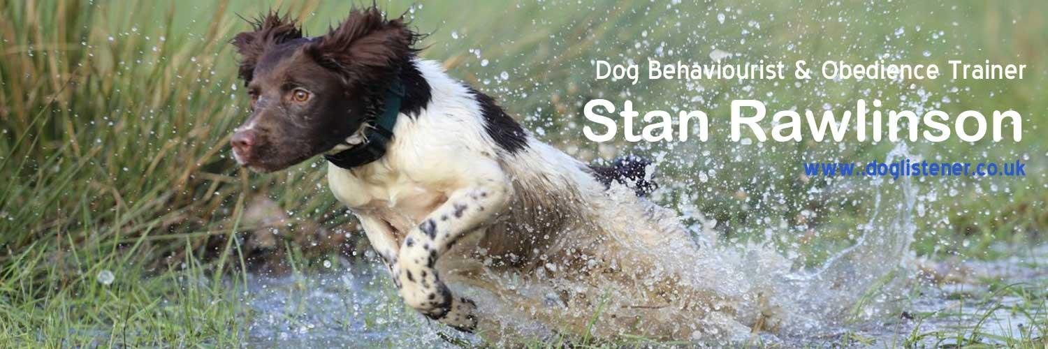 StanRawlinson's profile banner image