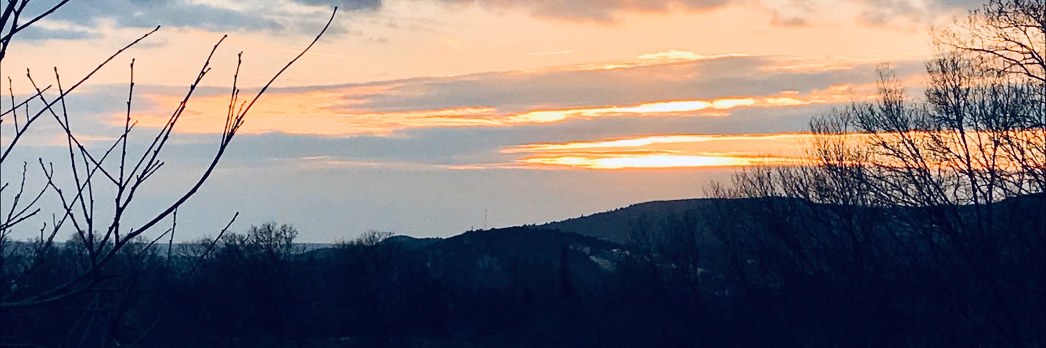 LisaJl's profile banner image