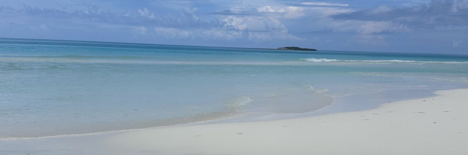 ciaralmcneely's profile banner image