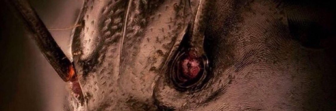 sharmanassau's profile banner image