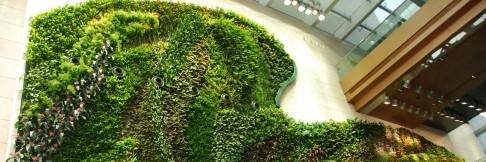 PlantsArchitect's profile banner image